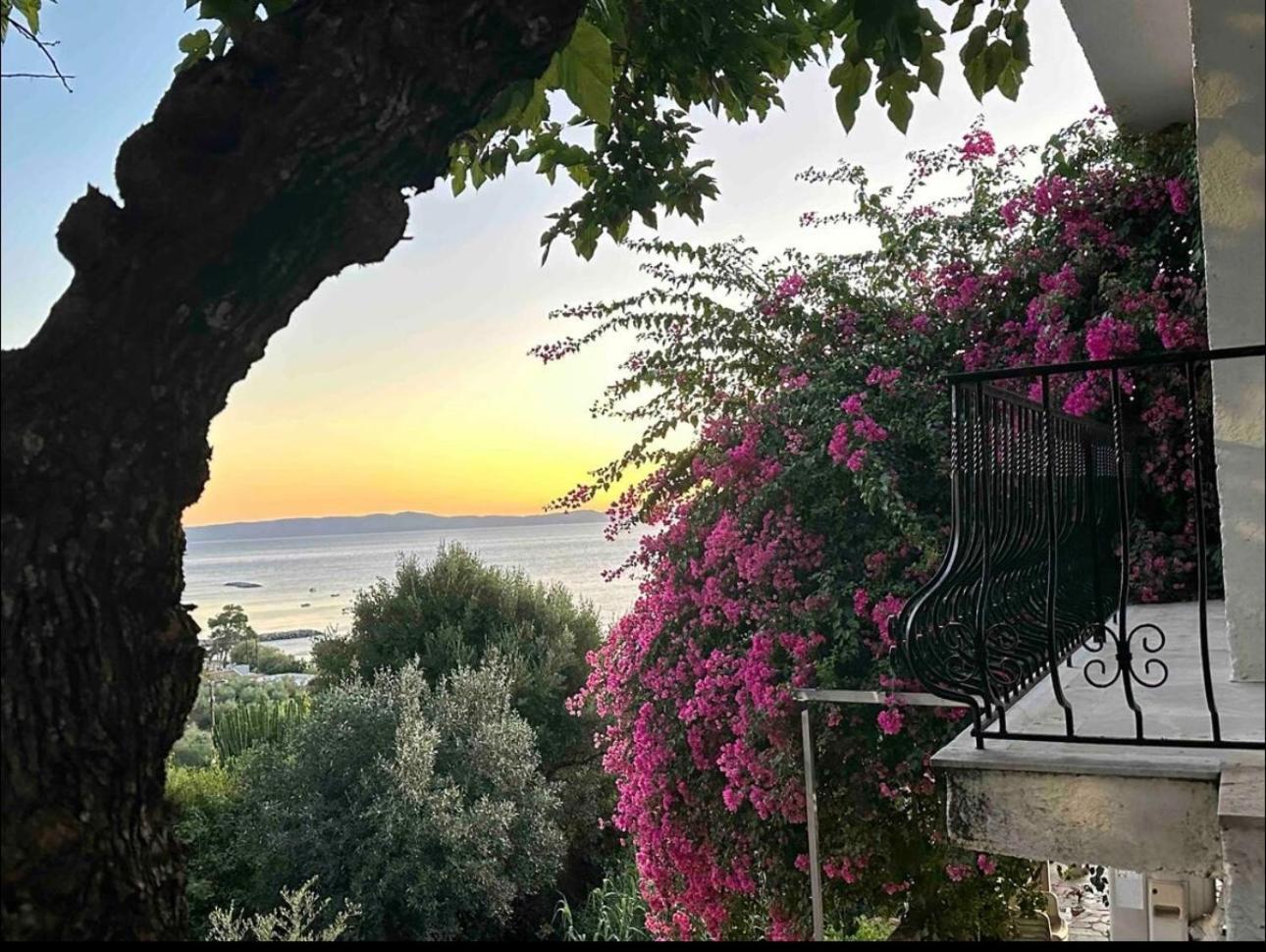 קלמאטה Villa Pinelopi מראה חיצוני תמונה
